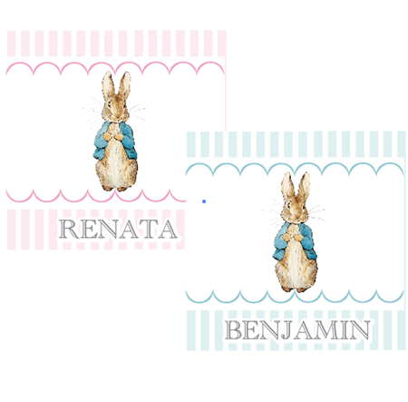 Stickers cuad. Peter Rabbit 16u Pers